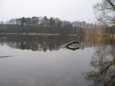 Jezioro Lubogórskie