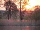 Jezioro Lubrza.