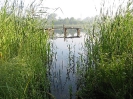 Jezioro Trzcinno 