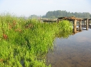 Jezioro Trzcinno 