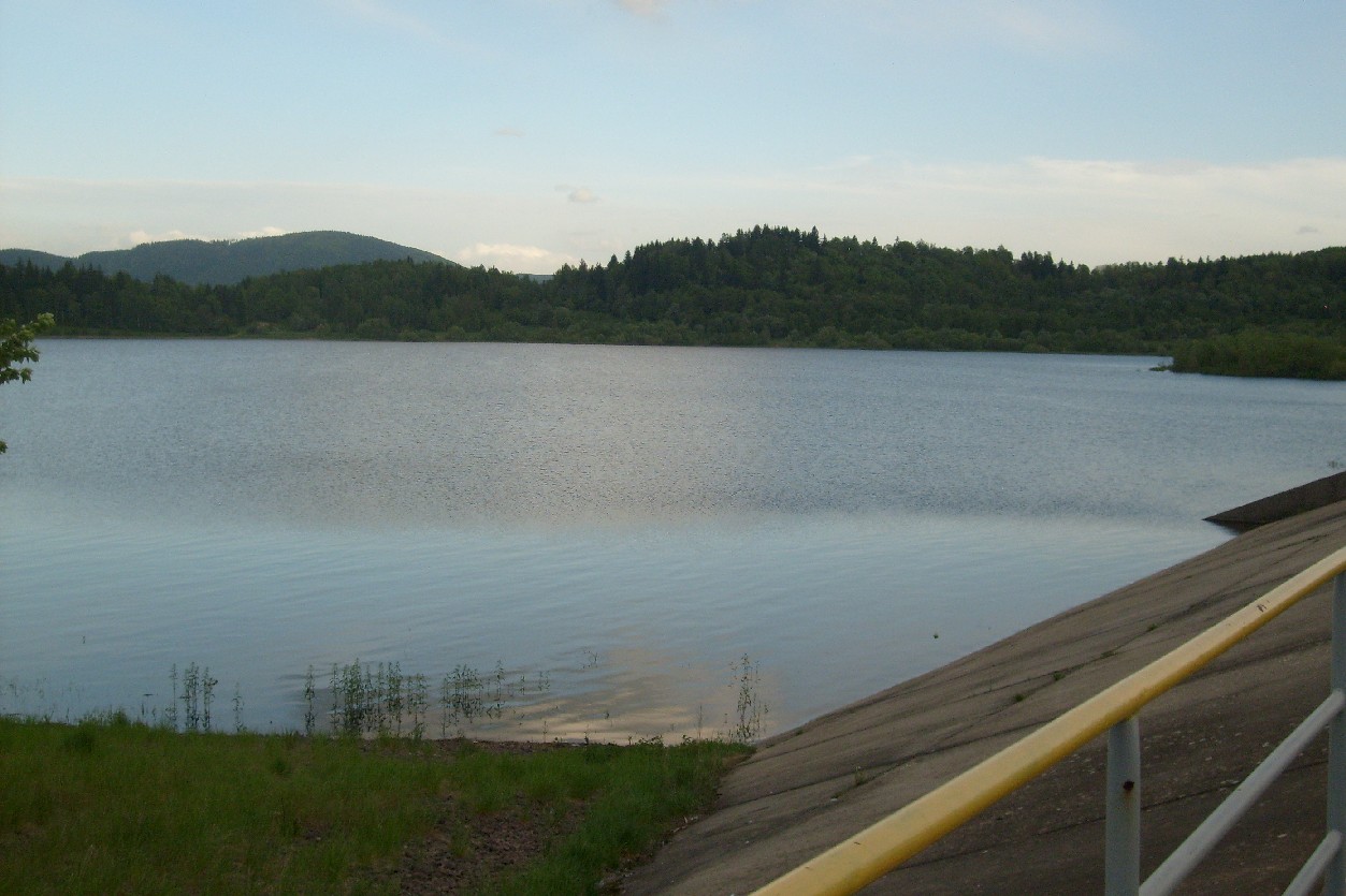 S6304841
