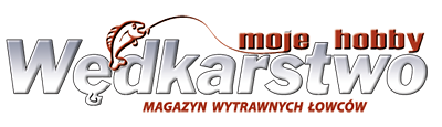 logo WMH